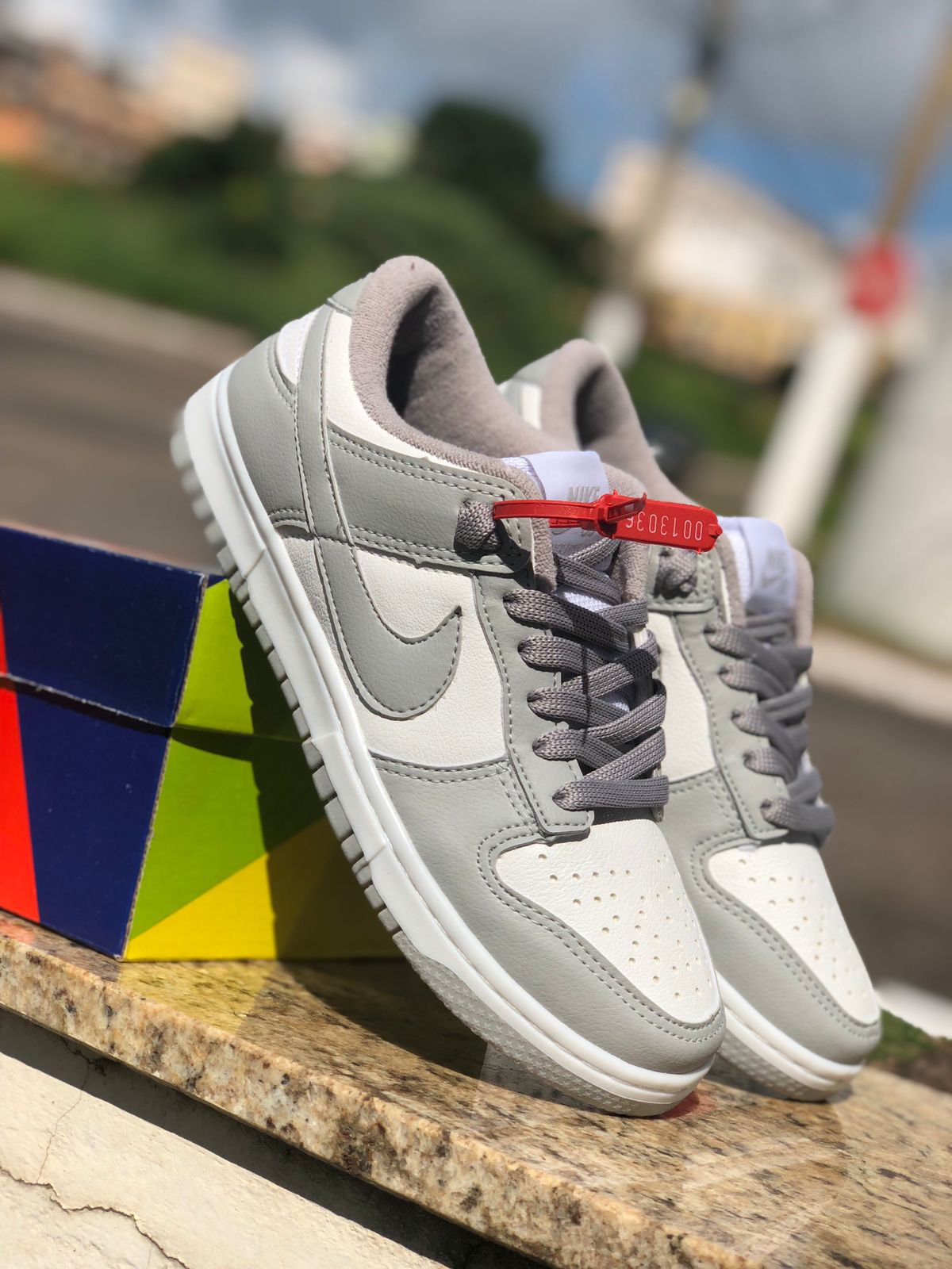 Combo 2 Pares Sb Dunk Low